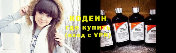 дживик Белокуриха