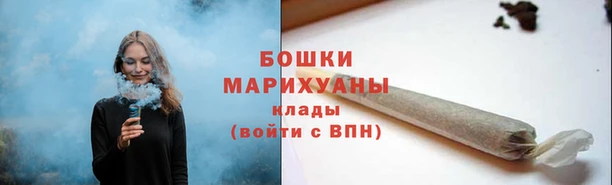 дживик Белокуриха