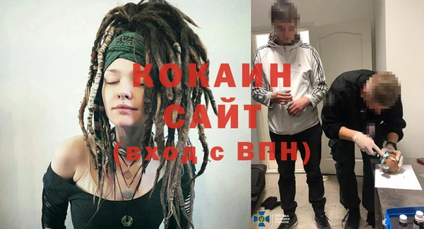 дживик Белокуриха