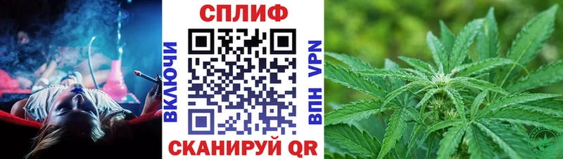 Бошки марихуана Amnesia Горняк
